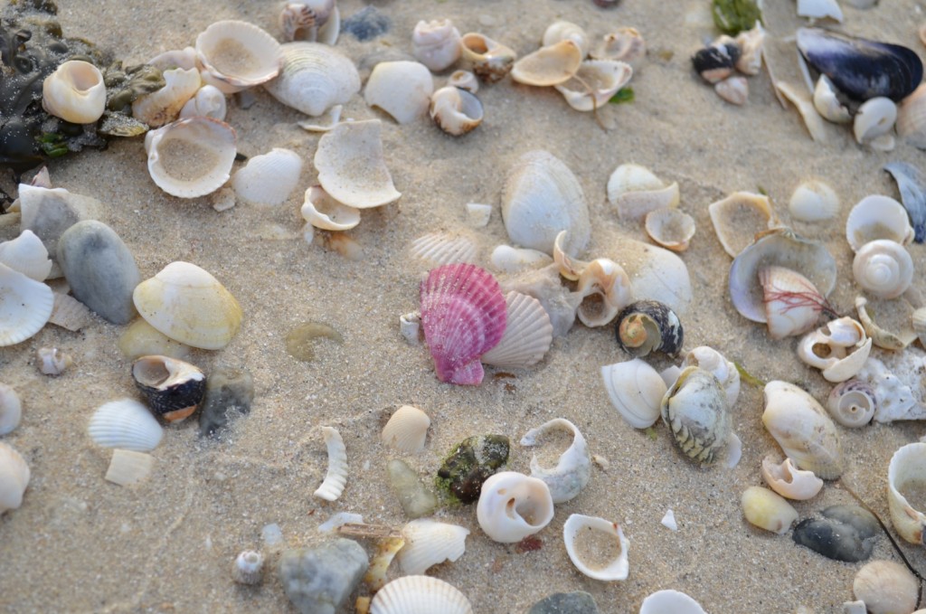 Parque Natural de Carreirón