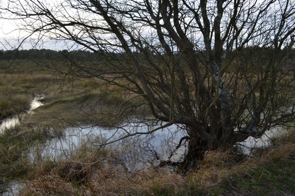 Parque Natural de Carreirón