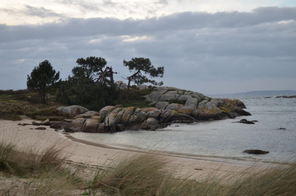 Parque Natural de Carreirón