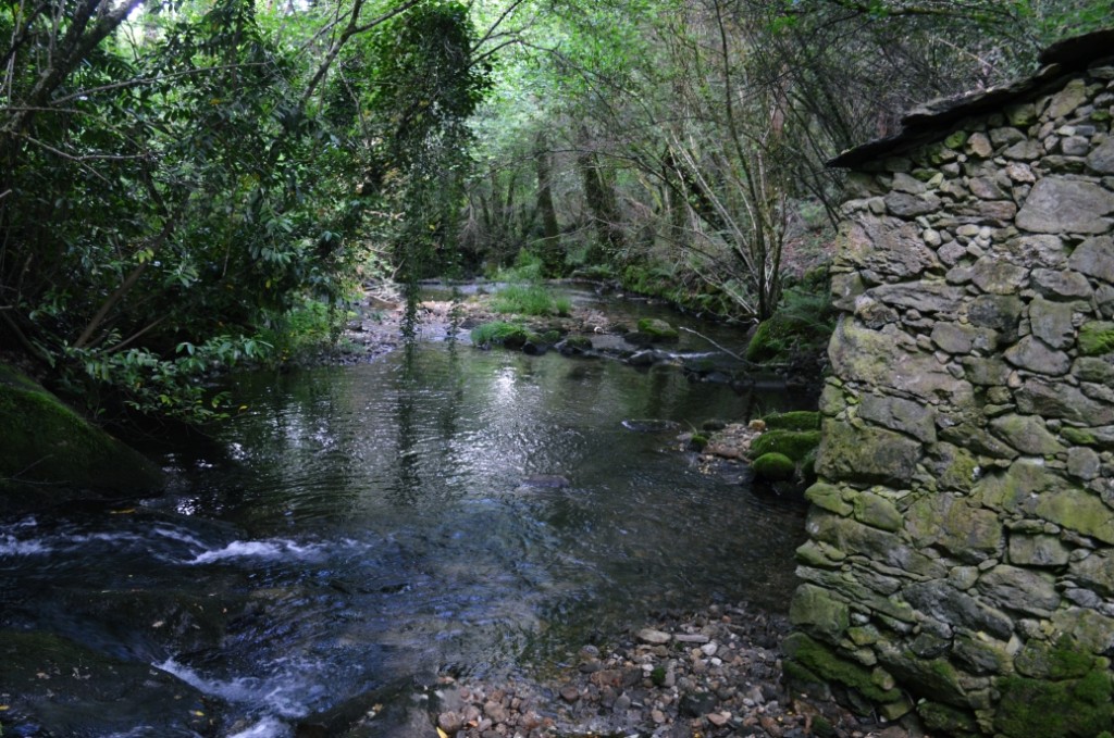 Muíños de Vesacarballa en Sabucedo