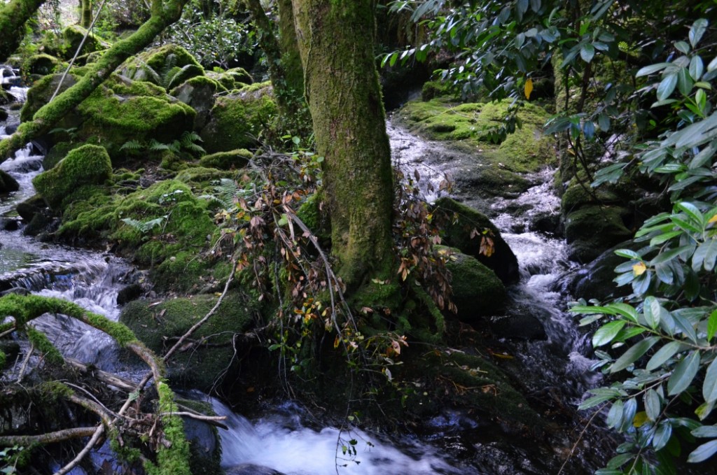 Muíños de Vesacarballa en Sabucedo