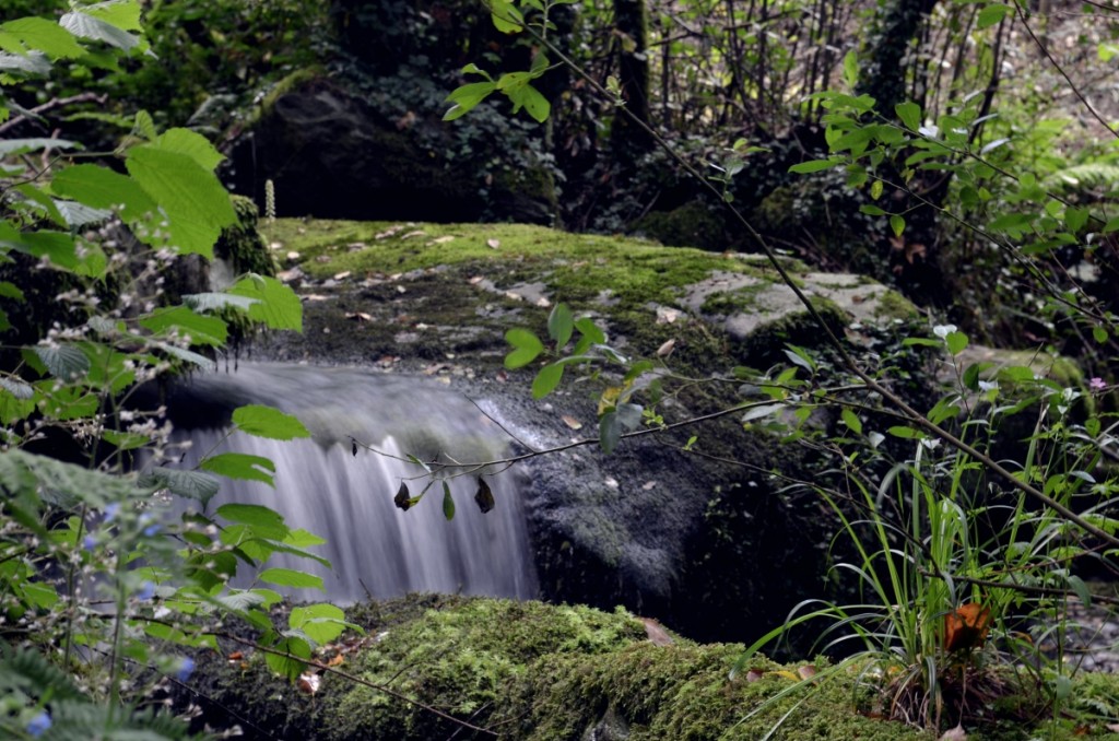 Muíños de Vesacarballa en Sabucedo