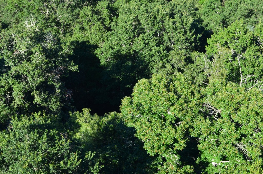 Monasterio de Carboeiro