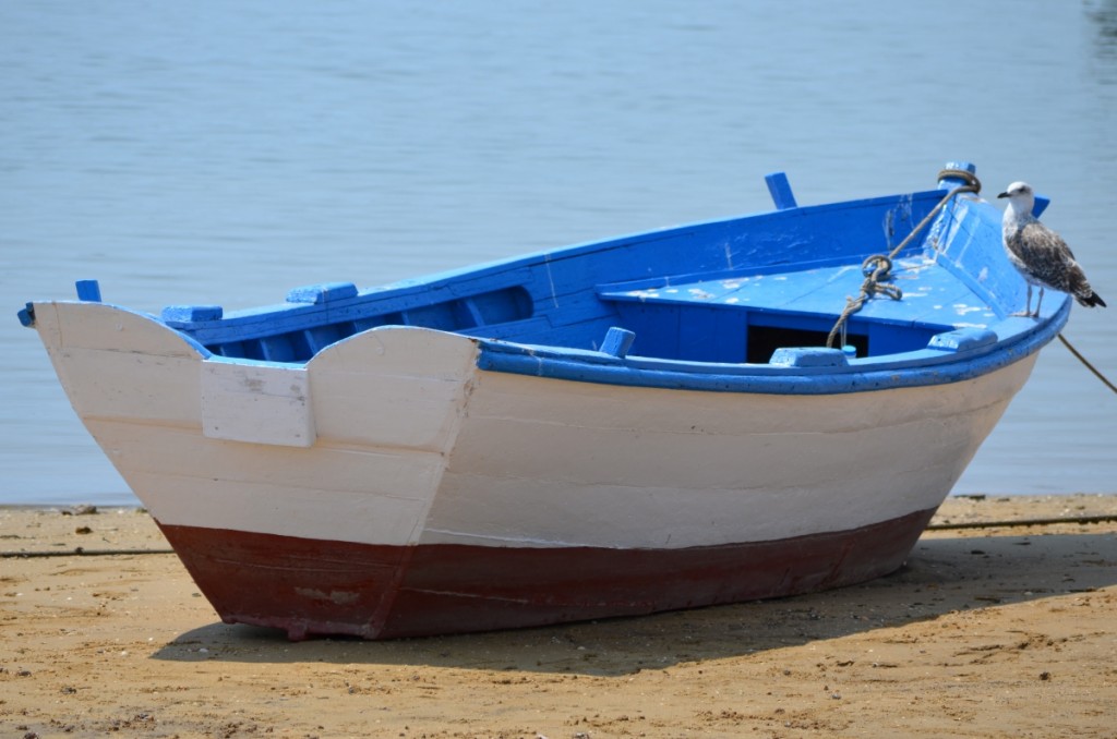 Tavira