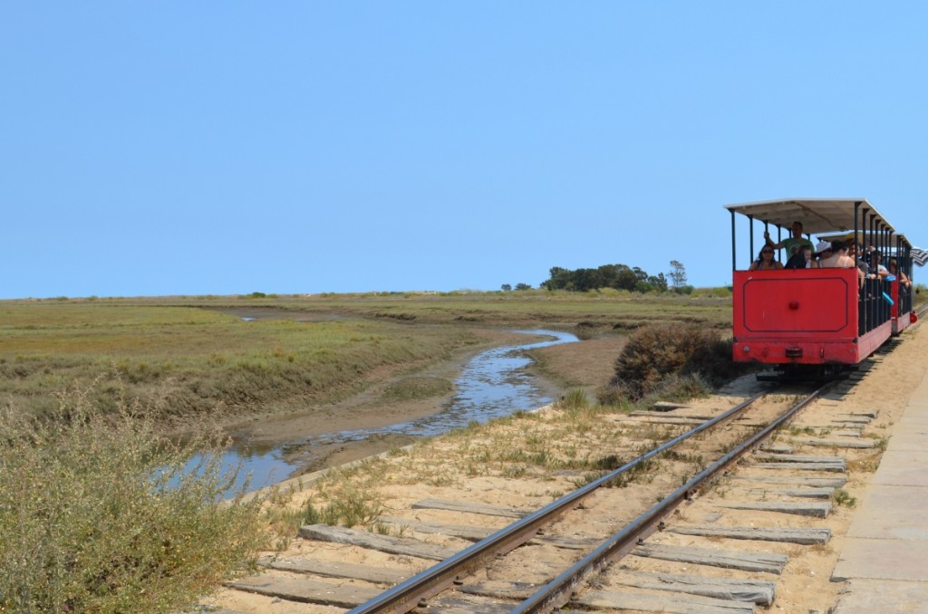 Tavira
