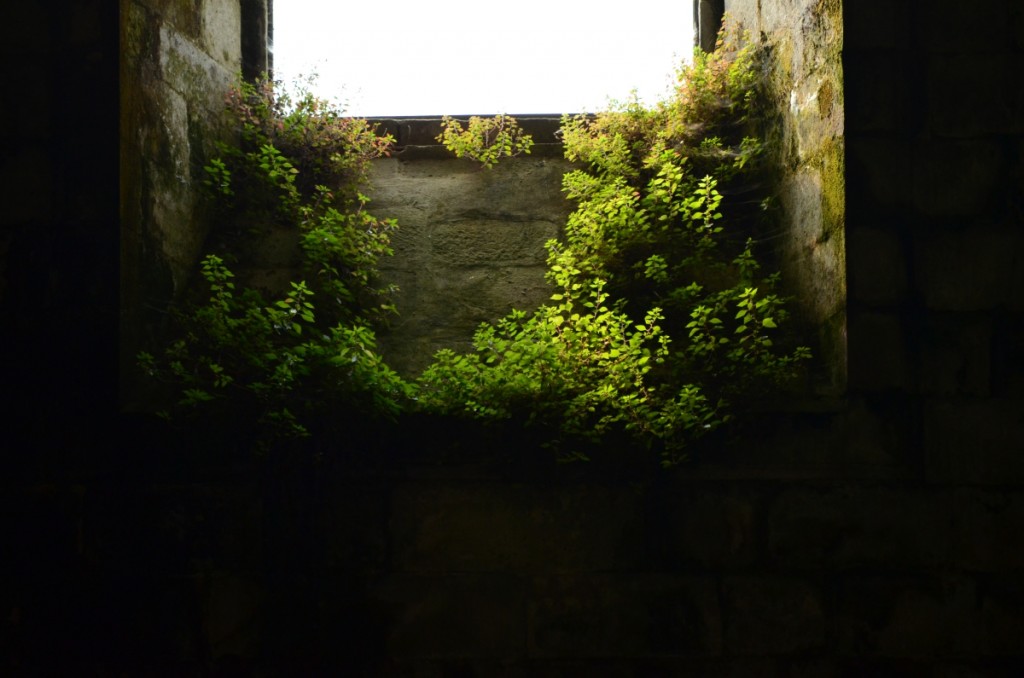 Monasterio de Santa María de Sobrado