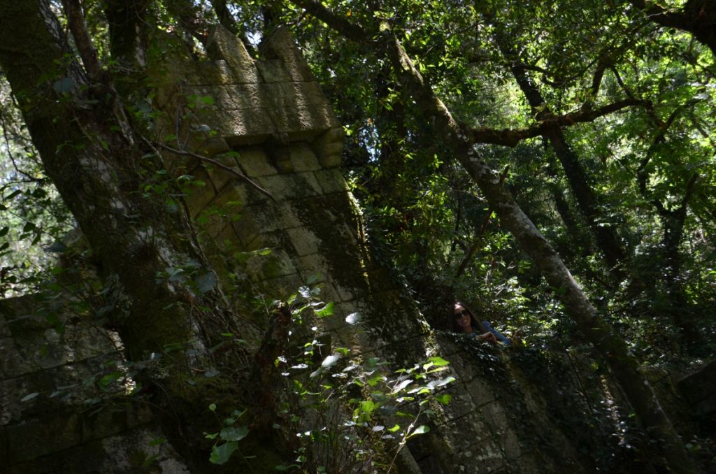 El bosque encantado de Aldán
