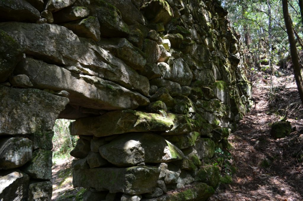 El bosque encantado de Aldán