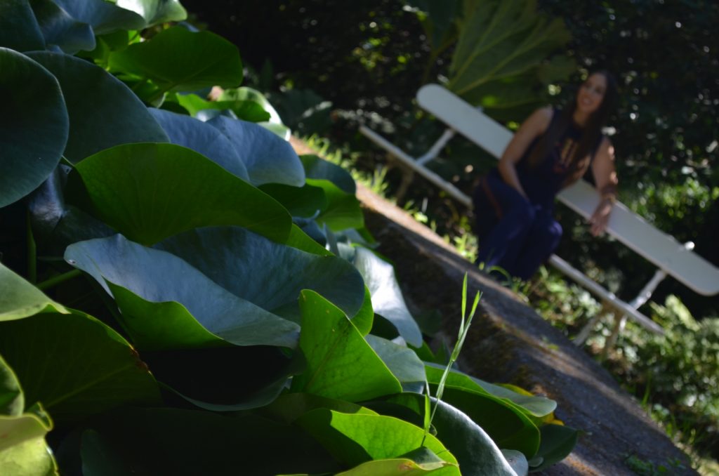 Pazo de Santa Cruz de Ribadulla 