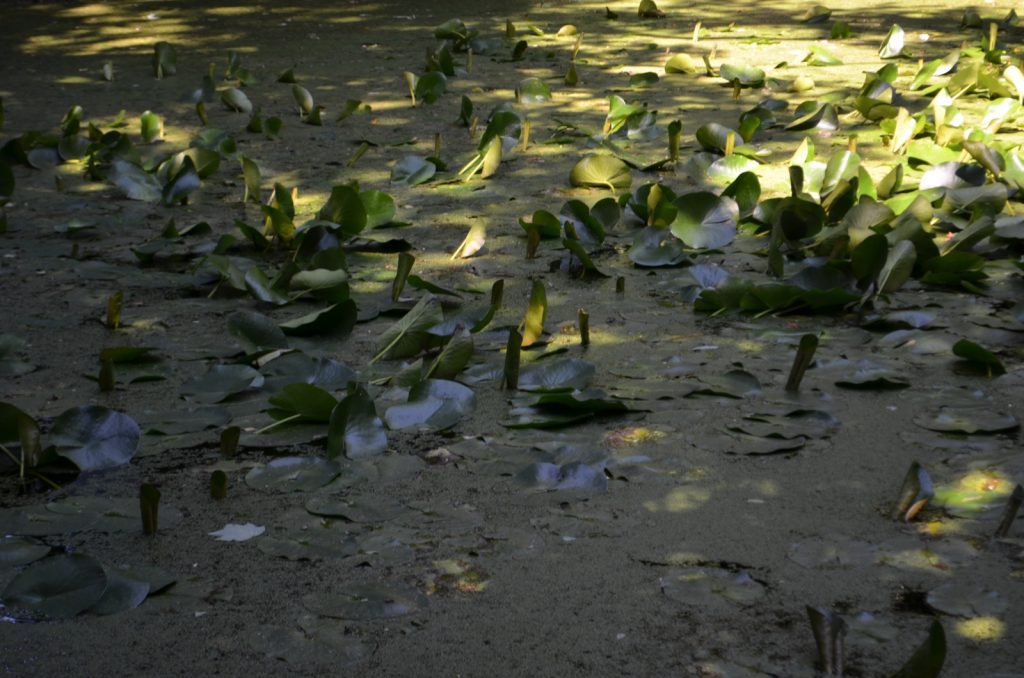 Pazo de Santa Cruz de Ribadulla 