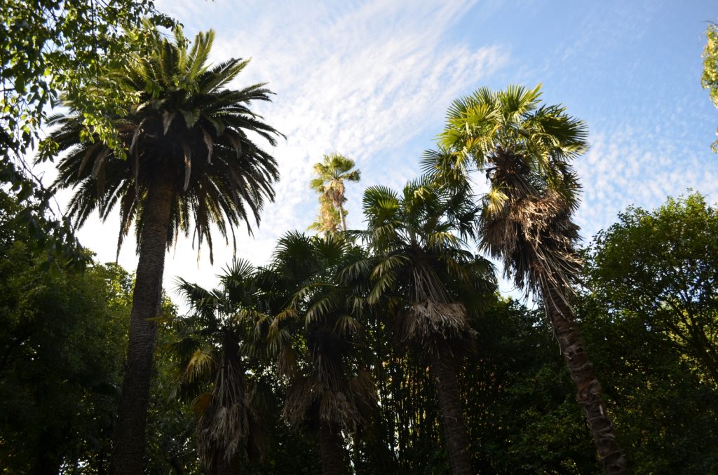 Pazo de Santa Cruz de Ribadulla 