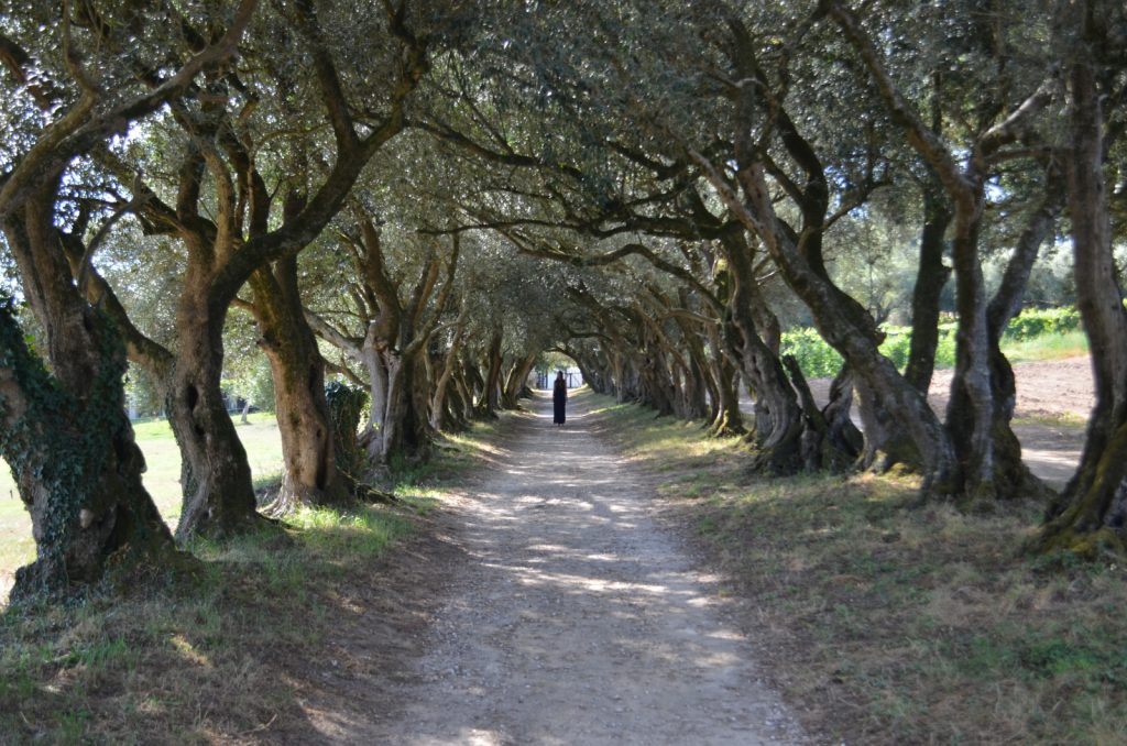 Pazo de Santa Cruz de Ribadulla 