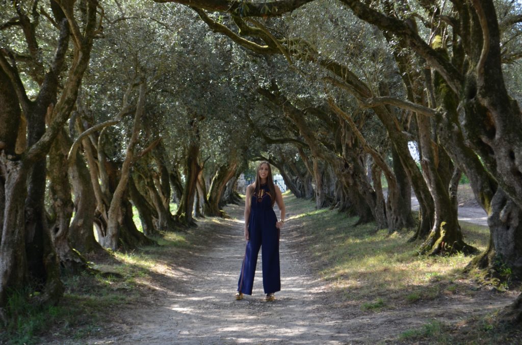 Pazo de Santa Cruz de Ribadulla 