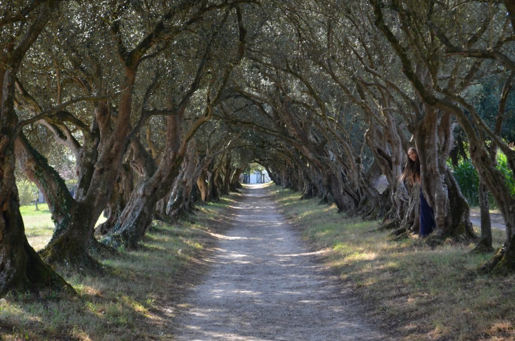 Pazo de Santa Cruz de Ribadulla 